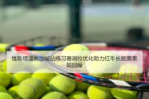 维斯塔潘新加坡站练习赛调校优化助力红牛长距离表现回暖